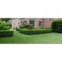 40mm Artificial Grass - Pragma - 2m x 5m