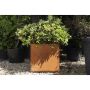 Corten Steel Cube Planter - 600mm x 600mm x 600mm