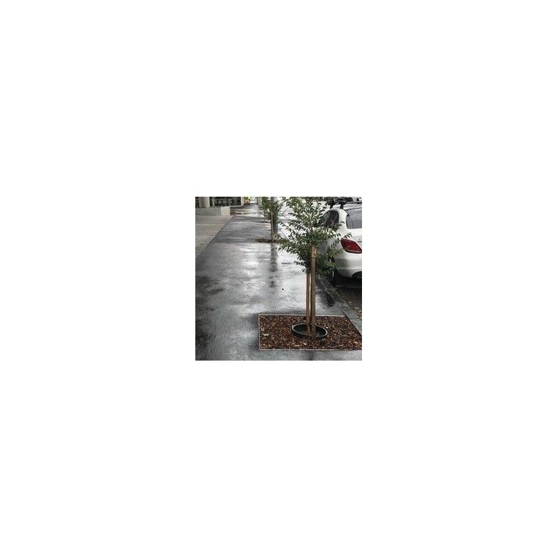 Terravault Root Protection System - 5 SQM Double Flat Packed